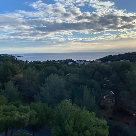 2 Pieces Avec Terrasse Et Vue Mer, Acces Piscine Et Parking Inclus - Fr-1-504-677 Saint-Raphael (Var)